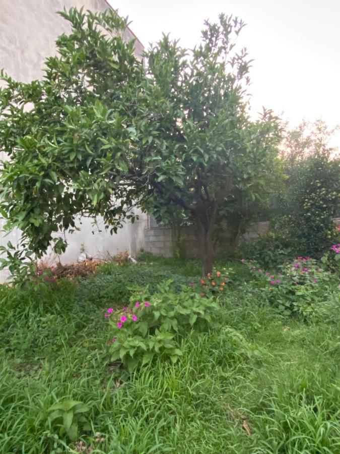L'Incognita Bed and Breakfast San Nicolo d'Arcidano Exteriör bild